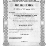 Лицензия на услуги связи, лист1